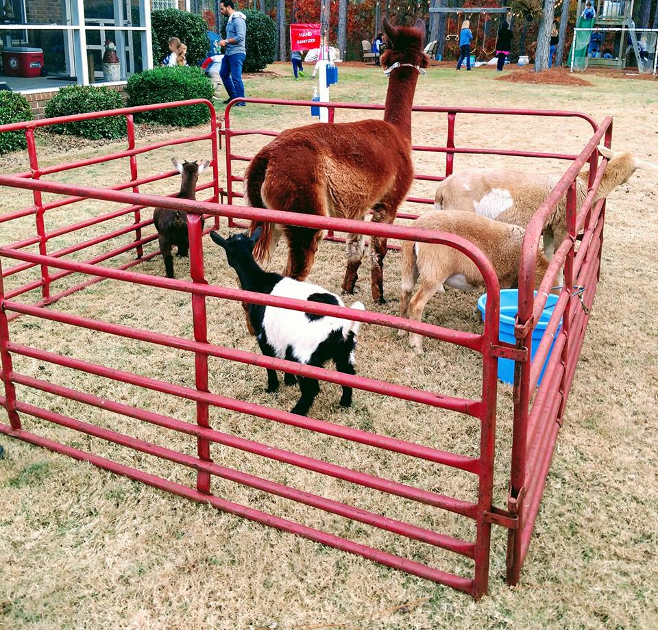 Petting Zoo Party